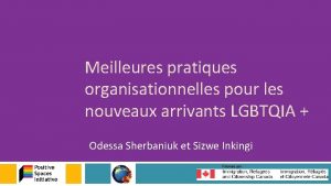 Meilleures pratiques organisationnelles pour les nouveaux arrivants LGBTQIA