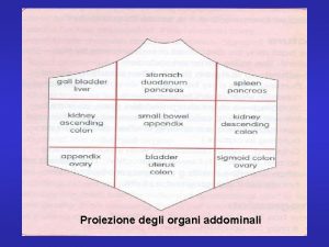 Proiezione degli organi addominali LA SEMEIOTICA DELLADDOME ACUTO