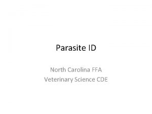 Vet science parasite id