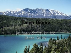 Taiga Biome By Shannon Lally and Zhan Selby