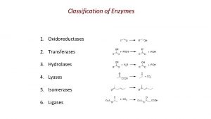 Classification of Enzymes 1 Oxidoreductases 2 Transferases 3