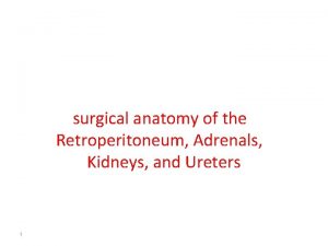 surgical anatomy of the Retroperitoneum Adrenals Kidneys and