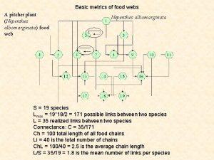 Basic metrics of food webs A pitcher plant