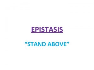 EPISTASIS STAND ABOVE EPISTASIS When two or more