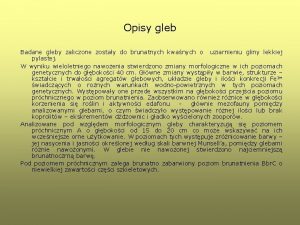 Opisy gleb Badane gleby zaliczone zostay do brunatnych