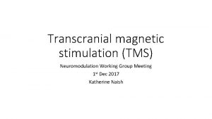 Transcranial magnetic stimulation TMS Neuromodulation Working Group Meeting