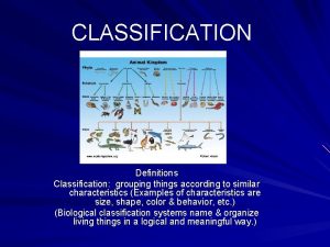 CLASSIFICATION Definitions Classification grouping things according to similar