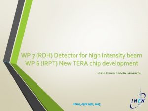 WP 7 RDH Detector for high intensity beam