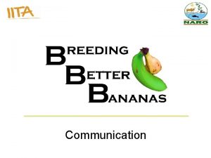 Communication www iita org Website http bananabreeding iita