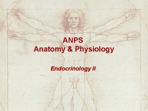 ANPS Anatomy Physiology Endocrinology II Hypothalamus GHRH CRH