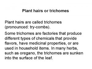 Plant hairs or trichomes Plant hairs are called