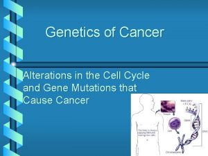 Genetics of Cancer Alterations in the Cell Cycle