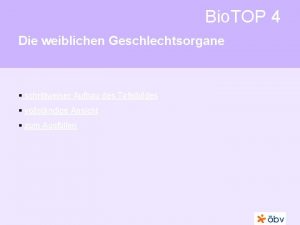 Bio TOP 4 Die weiblichen Geschlechtsorgane schrittweiser Aufbau