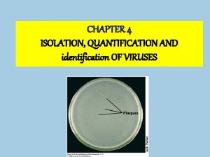 CHAPTER 4 ISOLATION QUANTIFICATION AND identification OF VIRUSES