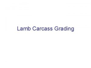 Lamb carcass grading