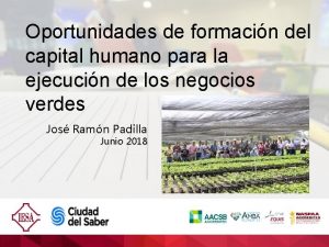 Oportunidades de formacin del capital humano para la