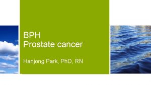 BPH Prostate cancer Hanjong Park Ph D RN