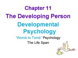 Chapter 11 The Developing Person Developmental Psychology Womb