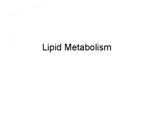 Lipid Metabolism Overview Fatty acids F A s