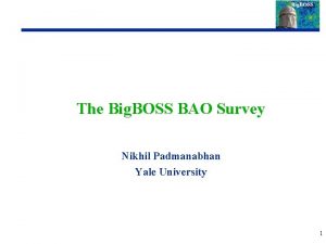 The Big BOSS BAO Survey Nikhil Padmanabhan Yale