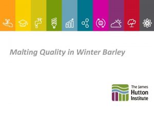 Malting Quality in Winter Barley UK barley production