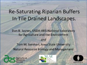 ReSaturating Riparian Buffers In Tile Drained Landscapes Dan