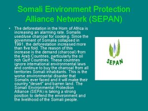 Somali Environment Protection Alliance Network SEPAN The deforestation