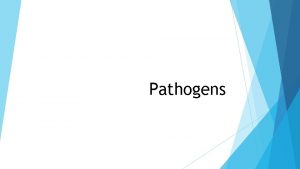Pathogens 4 types Virus Bacteria Fungi Protozoa Virus