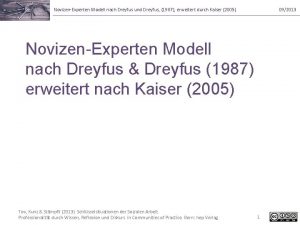 NovizenExperten Modell nach Dreyfus und Dreyfus 1987 erweitert