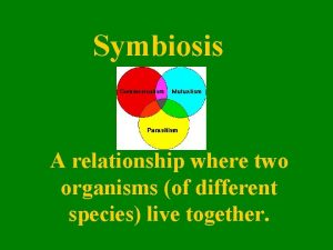 Example of commensalism