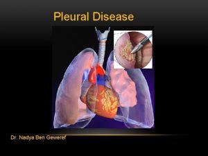 Pleural Disease Dr Nadya Ben Geweref PLEURA Is