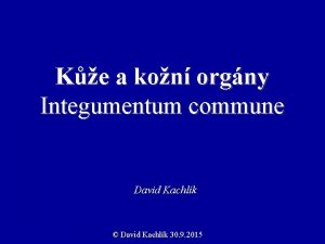 Ke a kon orgny Integumentum commune David Kachlk