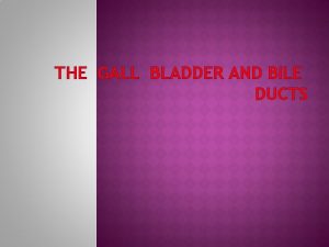 THE GALL BLADDER AND BILE DUCTS ANATOMY AND