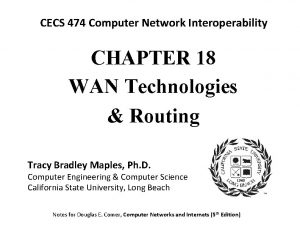 CECS 474 Computer Network Interoperability CHAPTER 18 WAN