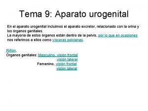 Tema 9 Aparato urogenital En el aparato urogenital