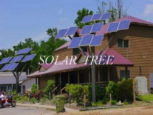 SOLAR TREE Contents Introduction What is a solar