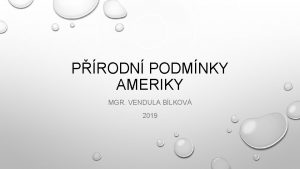 PRODN PODMNKY AMERIKY MGR VENDULA BLKOV 2019 POLOHA