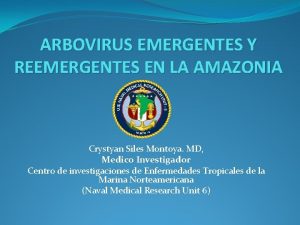 ARBOVIRUS EMERGENTES Y REEMERGENTES EN LA AMAZONIA Crystyan