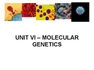 UNIT VI MOLECULAR GENETICS IV MICROBIAL GENETICS VIRUSES