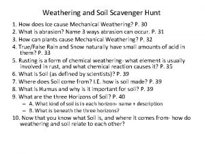 Soil scavenger hunt
