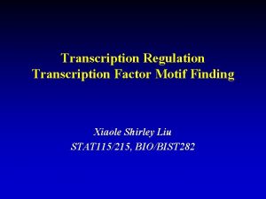 Transcription Regulation Transcription Factor Motif Finding Xiaole Shirley