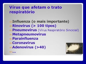 Vrus que afetam o trato respiratrio Influenza o