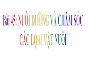 Nguyễn thị diễm my Nguyễn thị diễm my