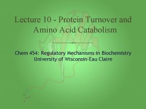 Lecture 10 Protein Turnover and Amino Acid Catabolism