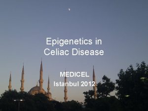 Epigenetics in Celiac Disease MEDICEL Istanbul 2012 Why