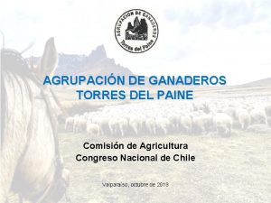 AGRUPACIN DE GANADEROS TORRES DEL PAINE Comisin de