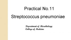 Inulin fermentation test streptococcus pneumoniae