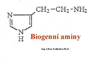 Biogenn aminy Ing Libor Kalhotka Ph D Biogenn