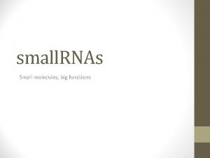 small RNAs Small molecules big functions Brief history