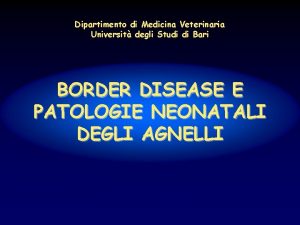 Dipartimento di Medicina Veterinaria Universit degli Studi di